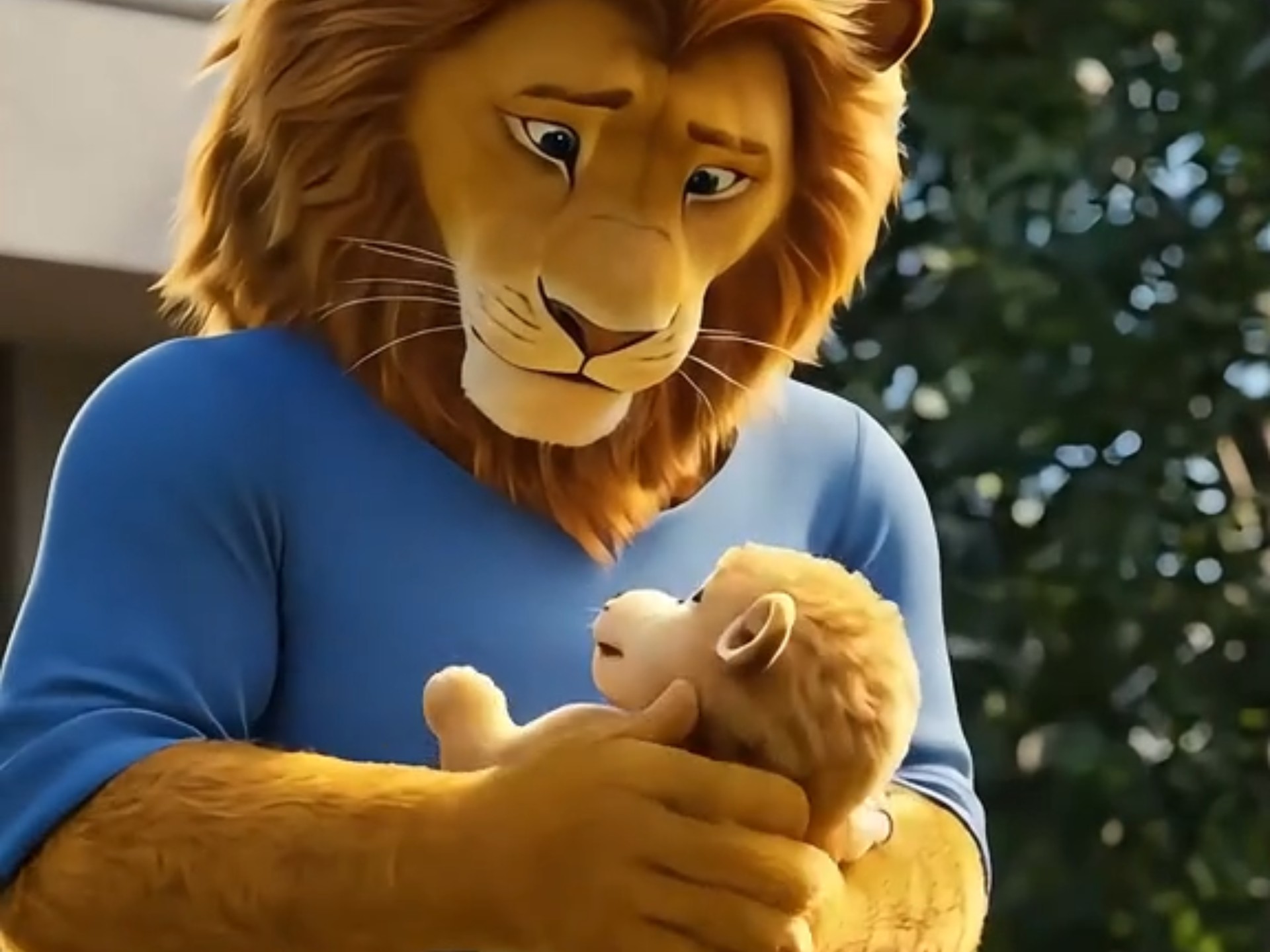 好温馨的狮子父子!这画面太暖心了吧!#亲子时光 #温暖瞬间