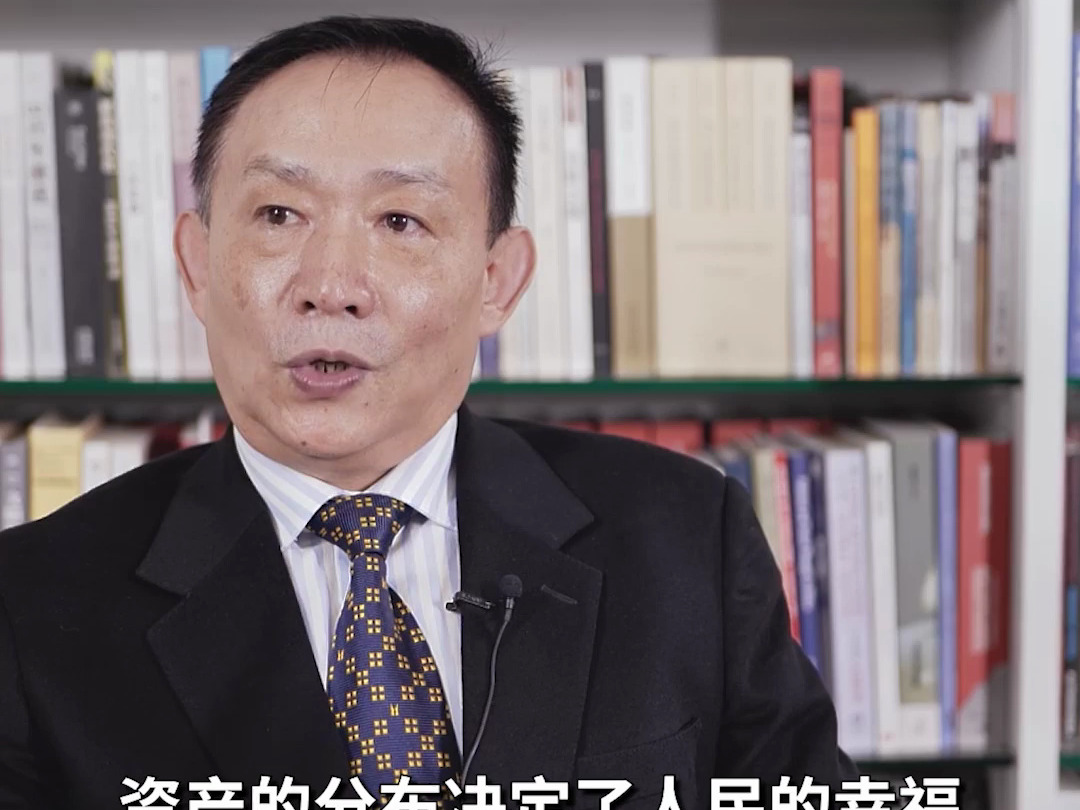 中国经济的核心问题是再分配的问题-卢麒元演说-卢麒元演说-哔哩哔哩视频