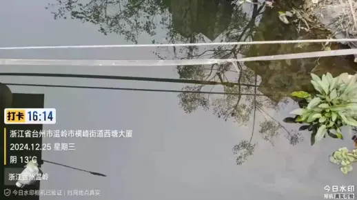 【2024.12.25】浙江省台州市温岭市