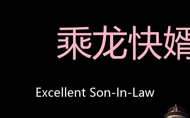 乘龙快婿 Chinese Pronunciation excellent soninlaw哔哩哔哩bilibili