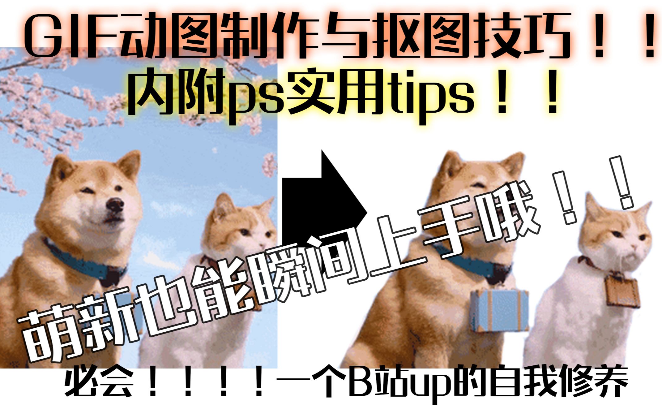 表情包制作必会:Photoshop动图gif制作与抠图教程(附ps实用小技巧)哔哩哔哩bilibili