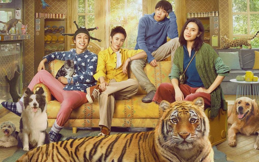 马丽宋佳联手摸老虎屁股阳光劫匪定档版预告