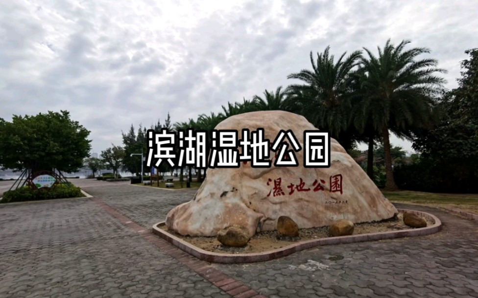 滨湖湿地公园哔哩哔哩bilibili