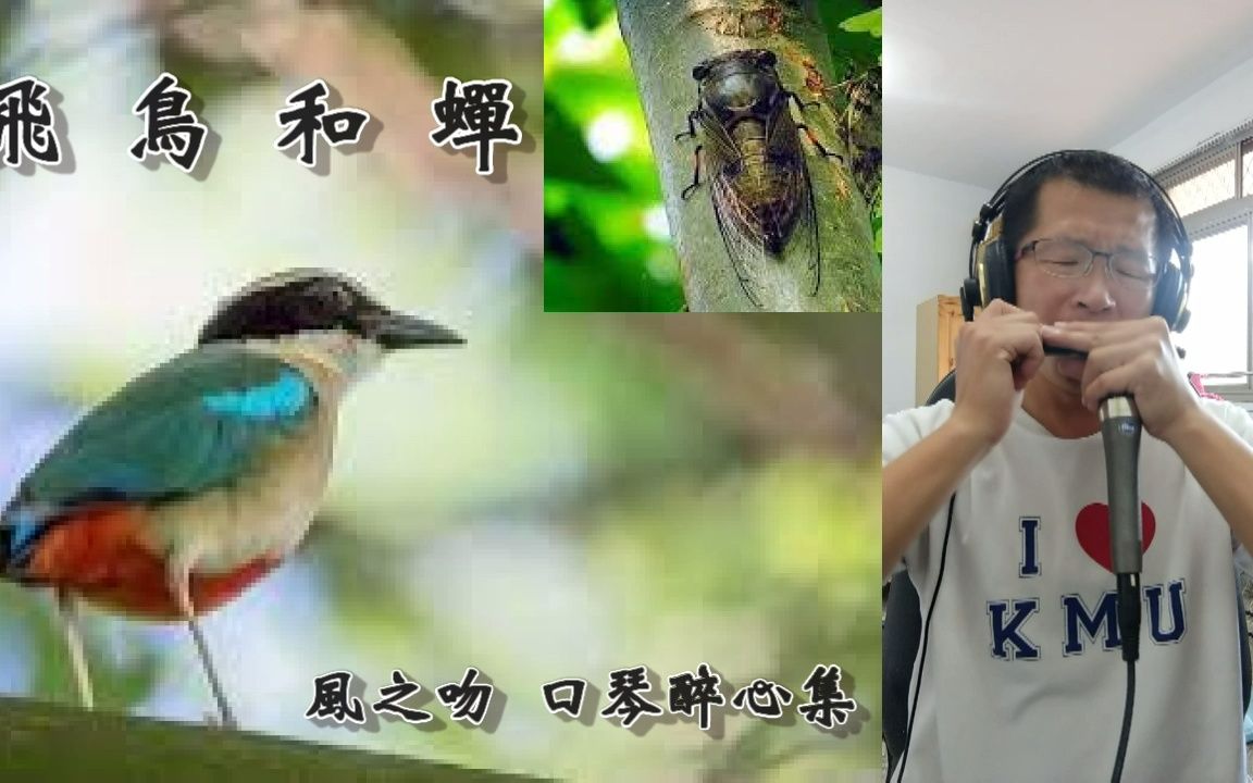 [图]飛鳥和蟬(口琴演奏)