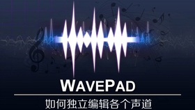 Wavepad 萌新友好型入门级界面简介 熟肉中字 哔哩哔哩 つロ干杯 Bilibili