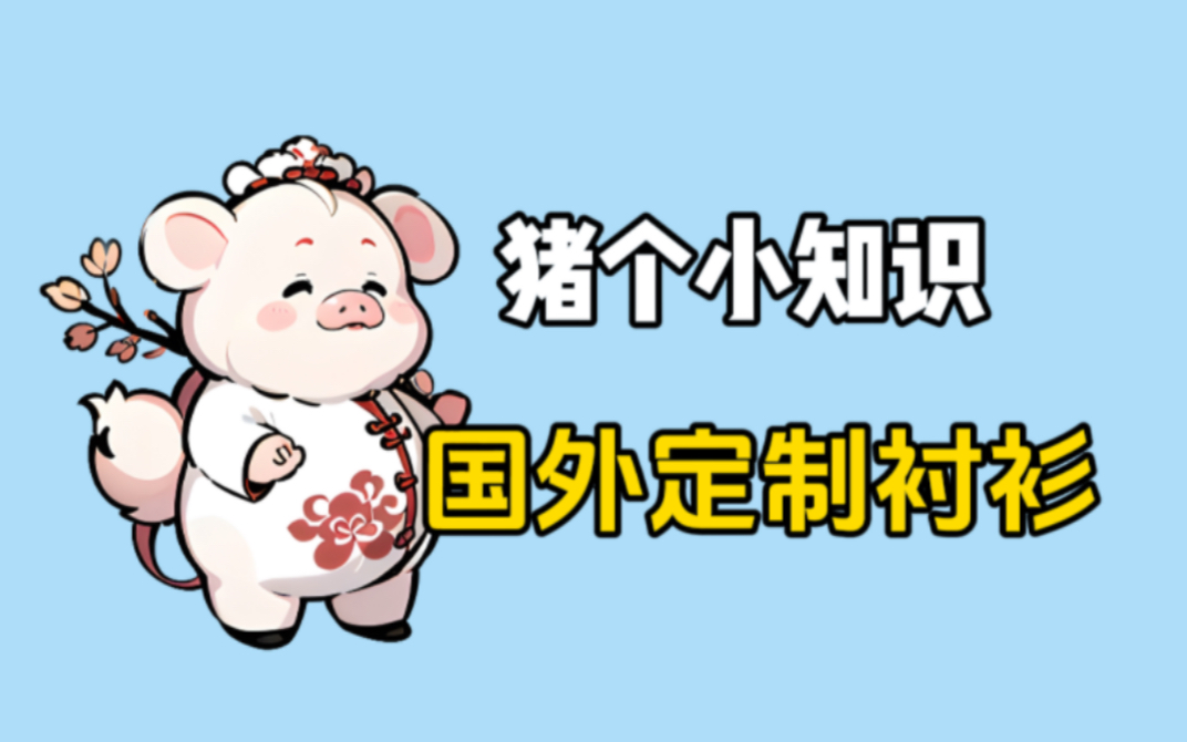 原来国外定制衬衫是这样操作的!哔哩哔哩bilibili