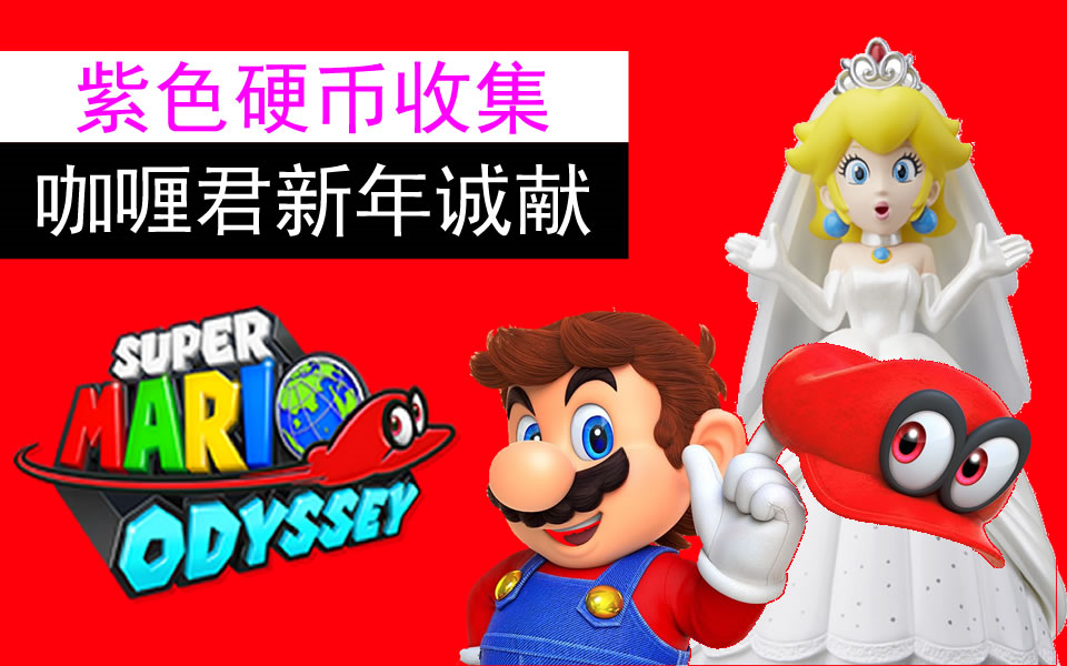 Switch马里奥奥德赛【酷霸王之国】紫色硬币收