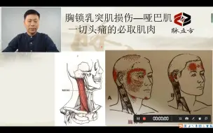 Tải video: 《肌肉激痛点疗法》2.第二课 头颈部疼痛点