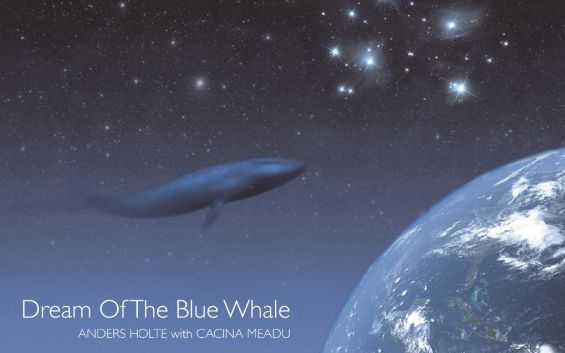 [图]【ANDERS HOLTE】【靈魂男聲】藍鯨之夢Dream of the blue whale