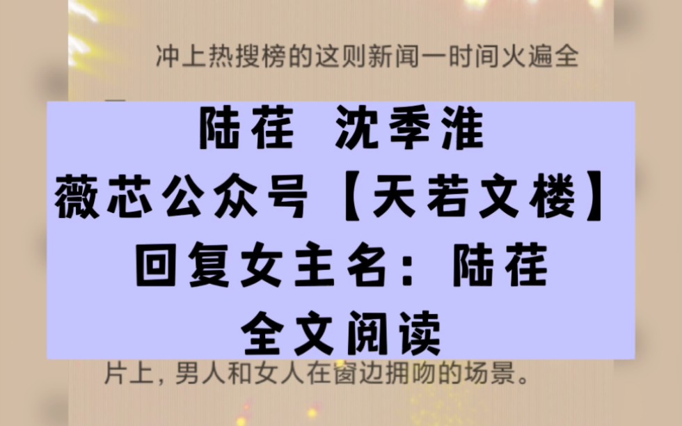 抖音热文言情小说《陆荏沈季淮》全章节完整阅读陆荏沈季淮小说名叫什么在哪看全文哔哩哔哩bilibili