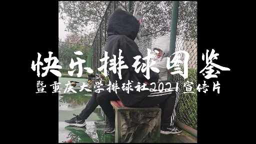 排球场快乐行为图鉴哔哩哔哩bilibili