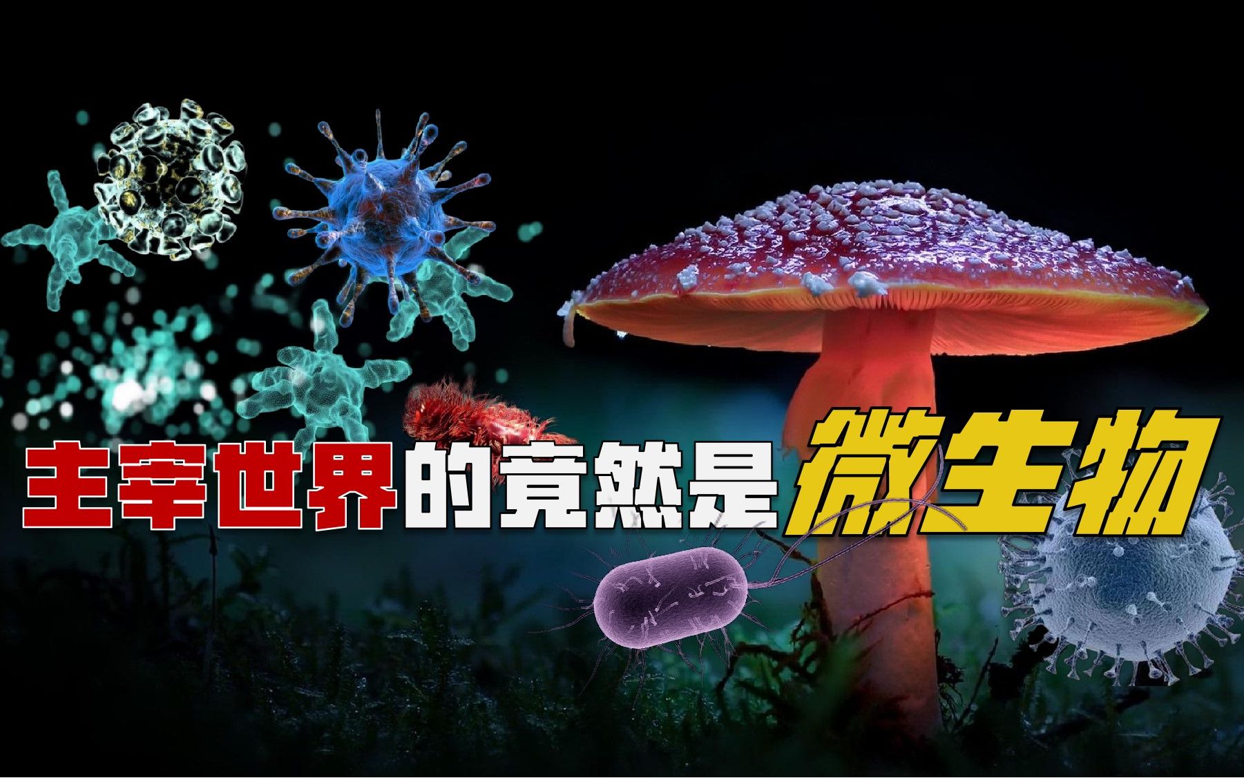 [图]主宰世界的根本不是人类，而是微生物？