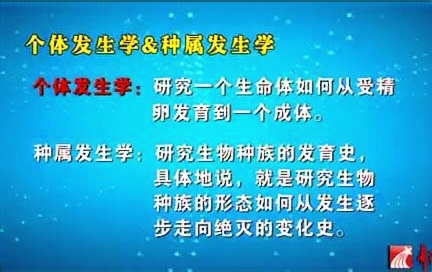 [图]复旦大学 系统功能语言学中的个体发生学 全2讲 主讲-朱永生 视频教程