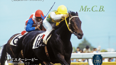 涙を馬のたてがみに 寺山修司・競走馬の詩 51Goc9E23xL._SY200_QL15_.jpg