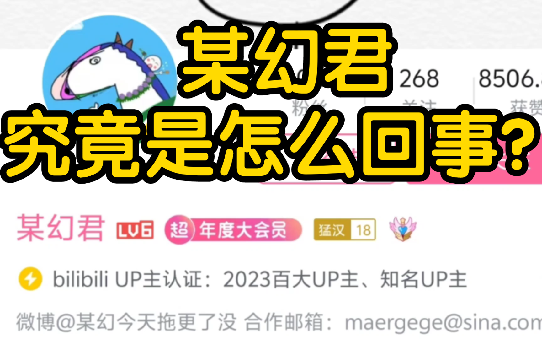 b站百大up主某幻君事件究竟怎么回事?导致现在这样风评很差?某幻君事件始末.哔哩哔哩bilibili