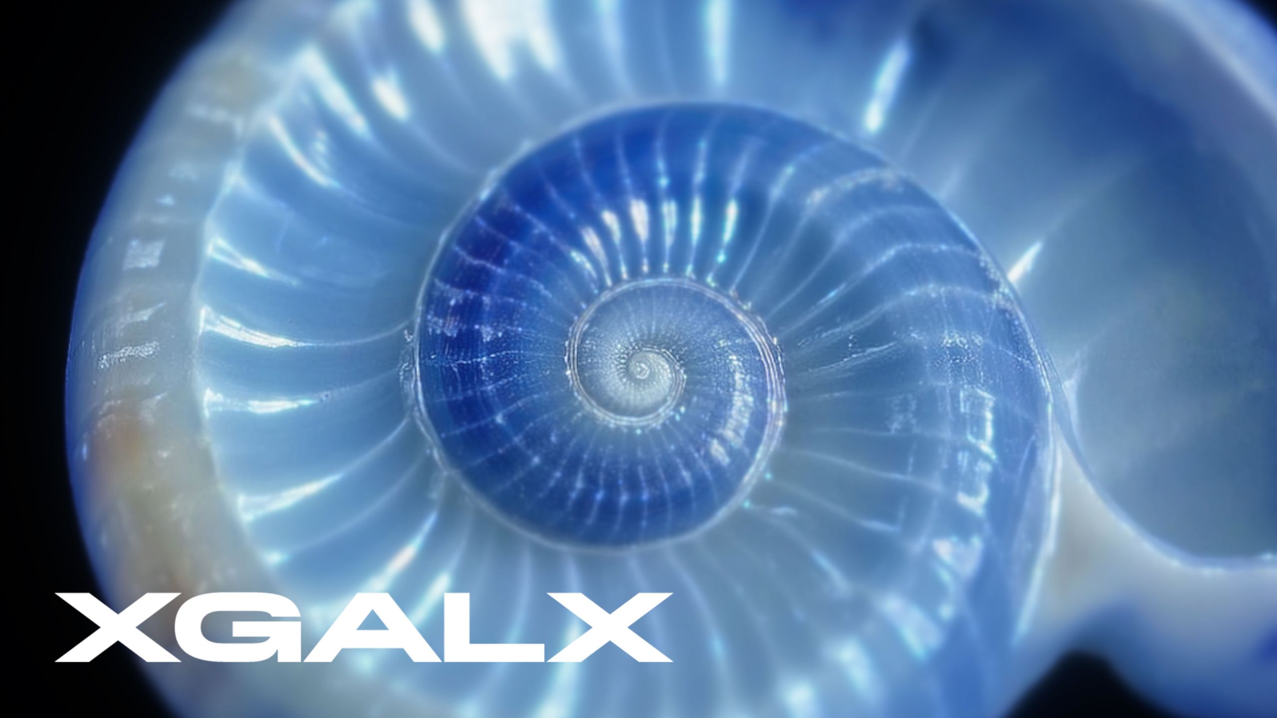 XG - HYPNOTIZE (Visual Teaser Compilation)-XGALX_XG-XGALX_XG-哔哩哔哩视频