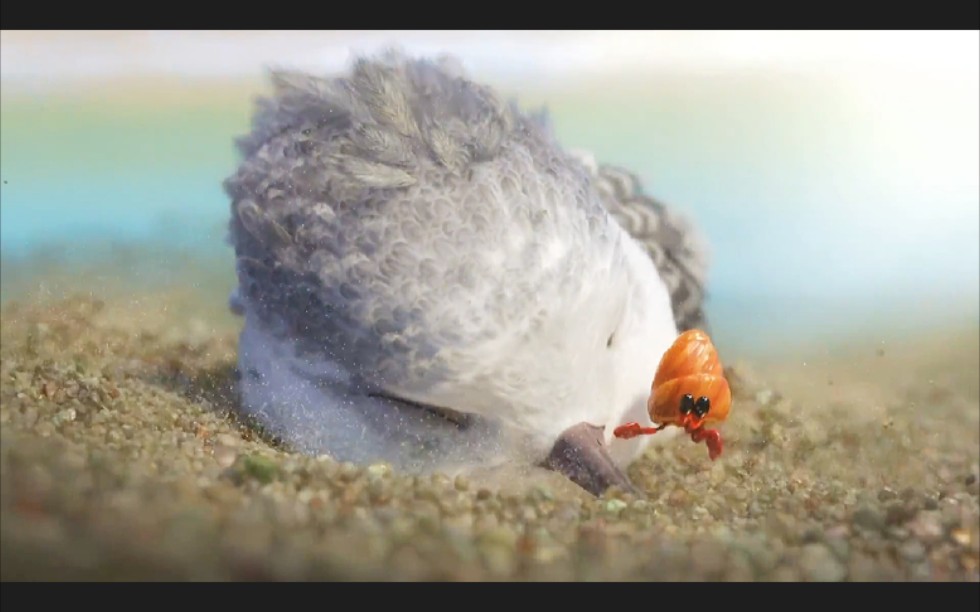 每日一部好电影,奥斯卡最佳动画小鹬捕食记.