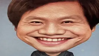 小米集团投资业务的股权架构与原理！（字难看，货很干）