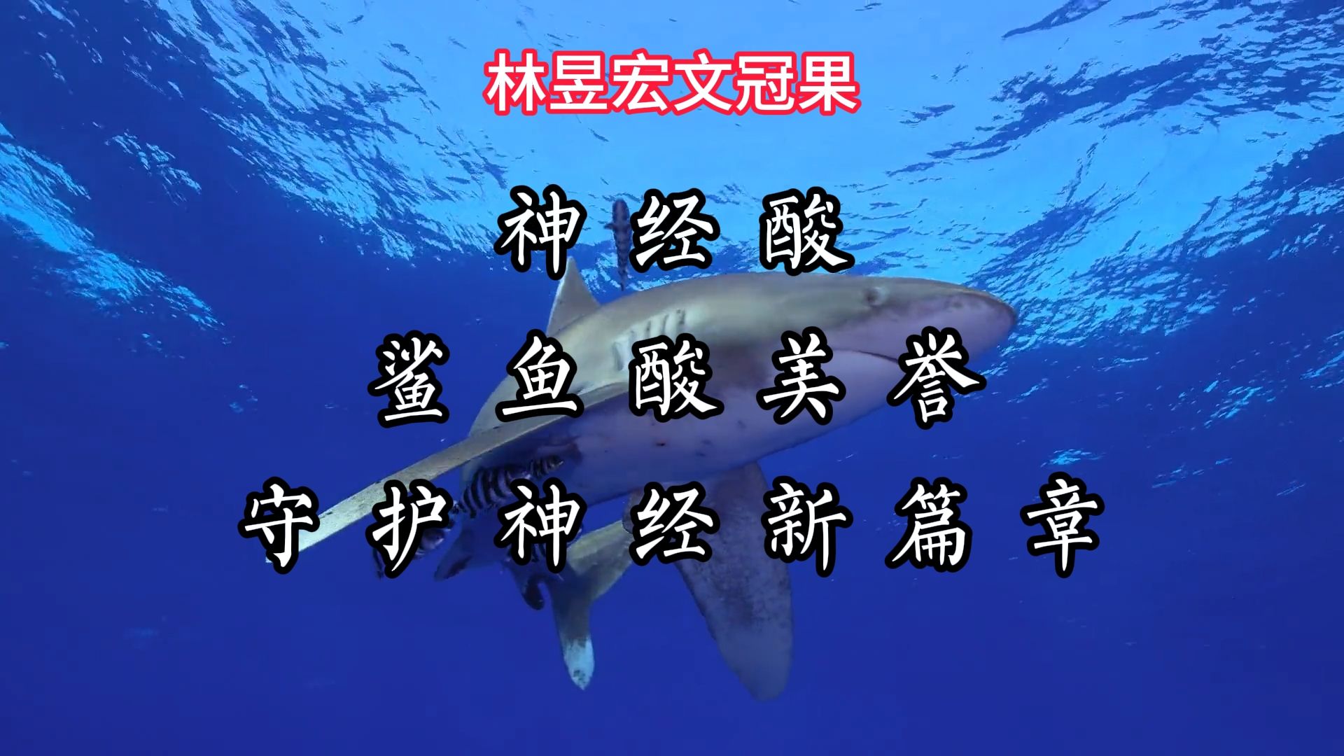 神经酸:鲨鱼酸美誉,守护神经新篇章