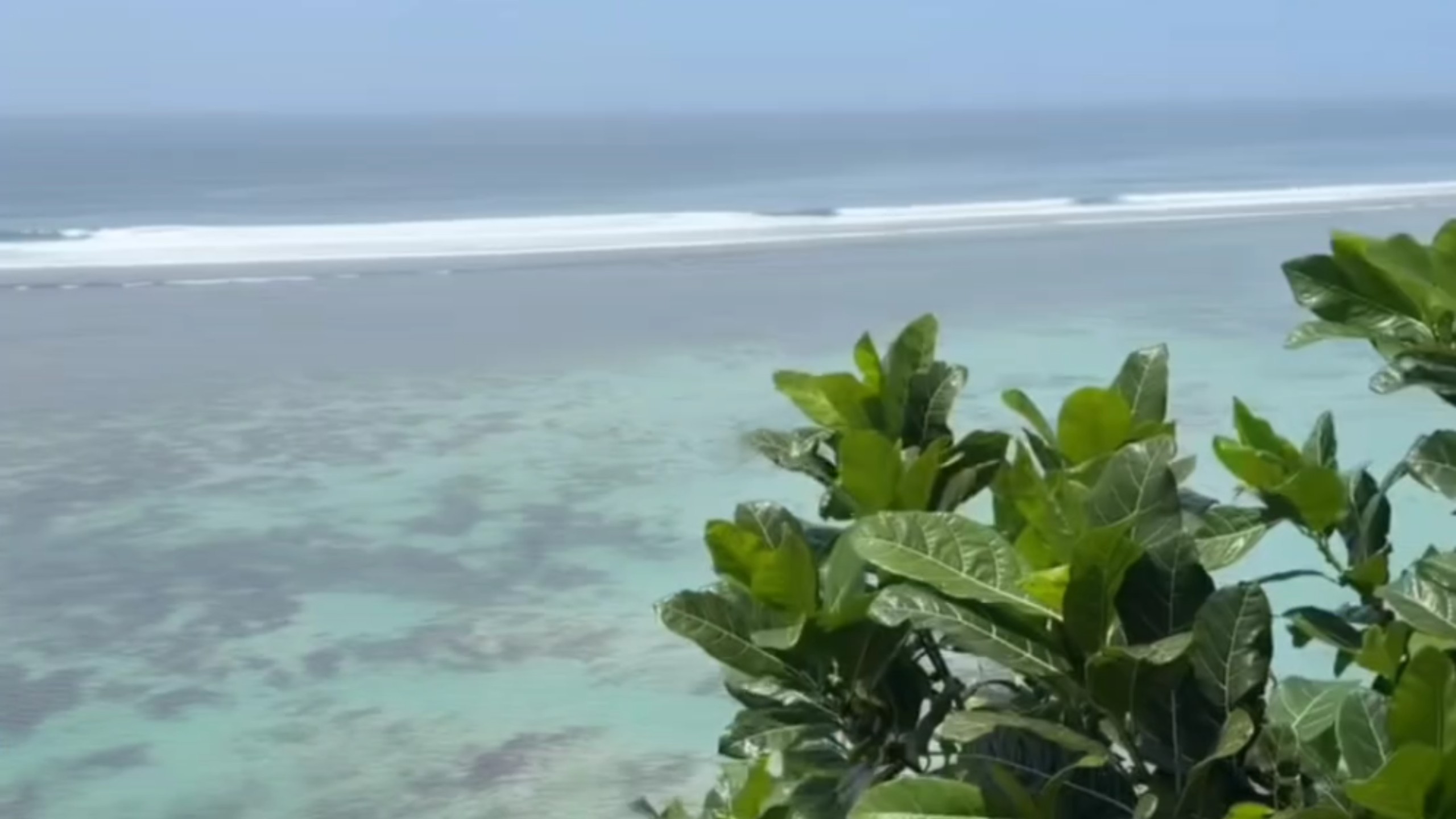 袁嘉敏海边度假2