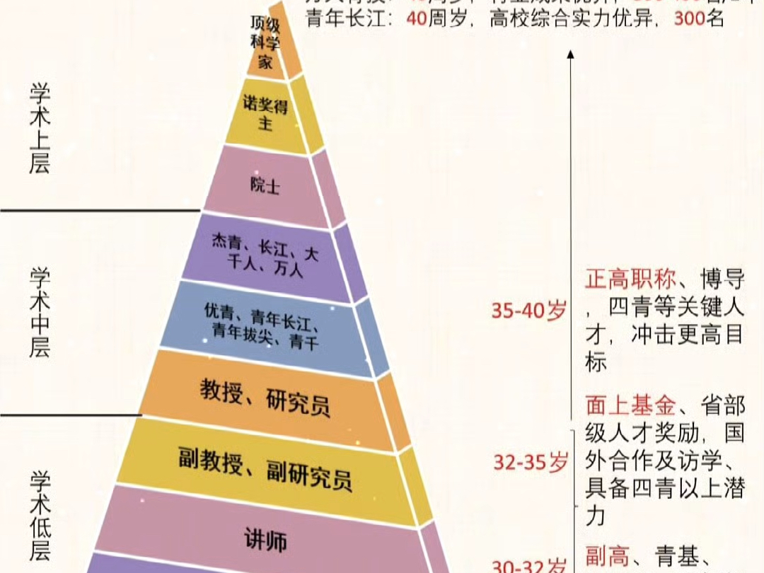 学术职业生涯一览图哔哩哔哩bilibili