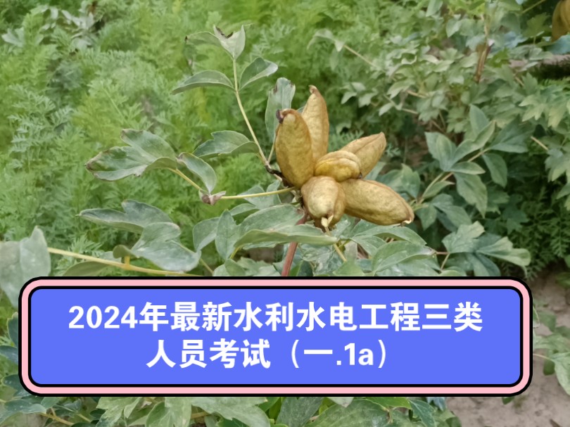 2024年最新水利水电工程三类人员考试题库(一ⷱa)哔哩哔哩bilibili