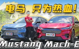 Tải video: 做出差异最重要！试福特电马Mustang Mach-E/GT【五号车论】