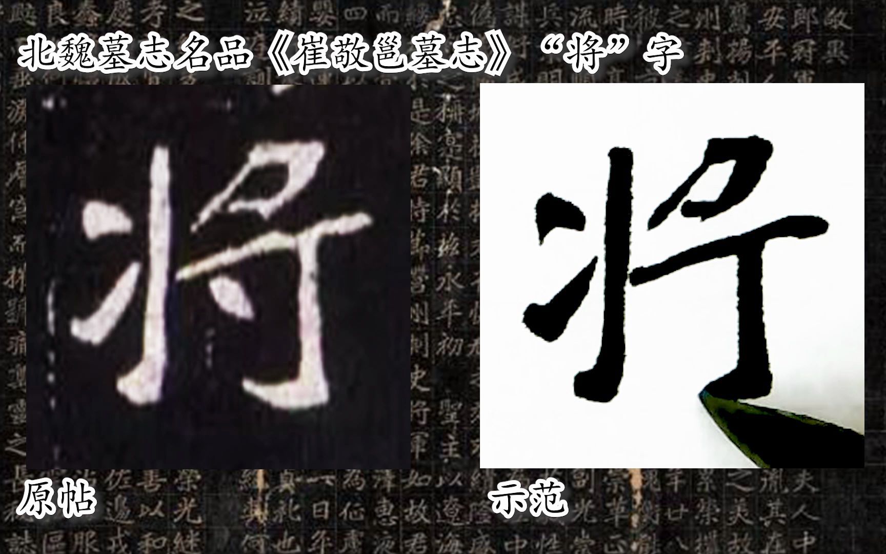 [图]【每日一字】书法系列，周东芬临北魏墓志《崔敬邕墓志》“将”字