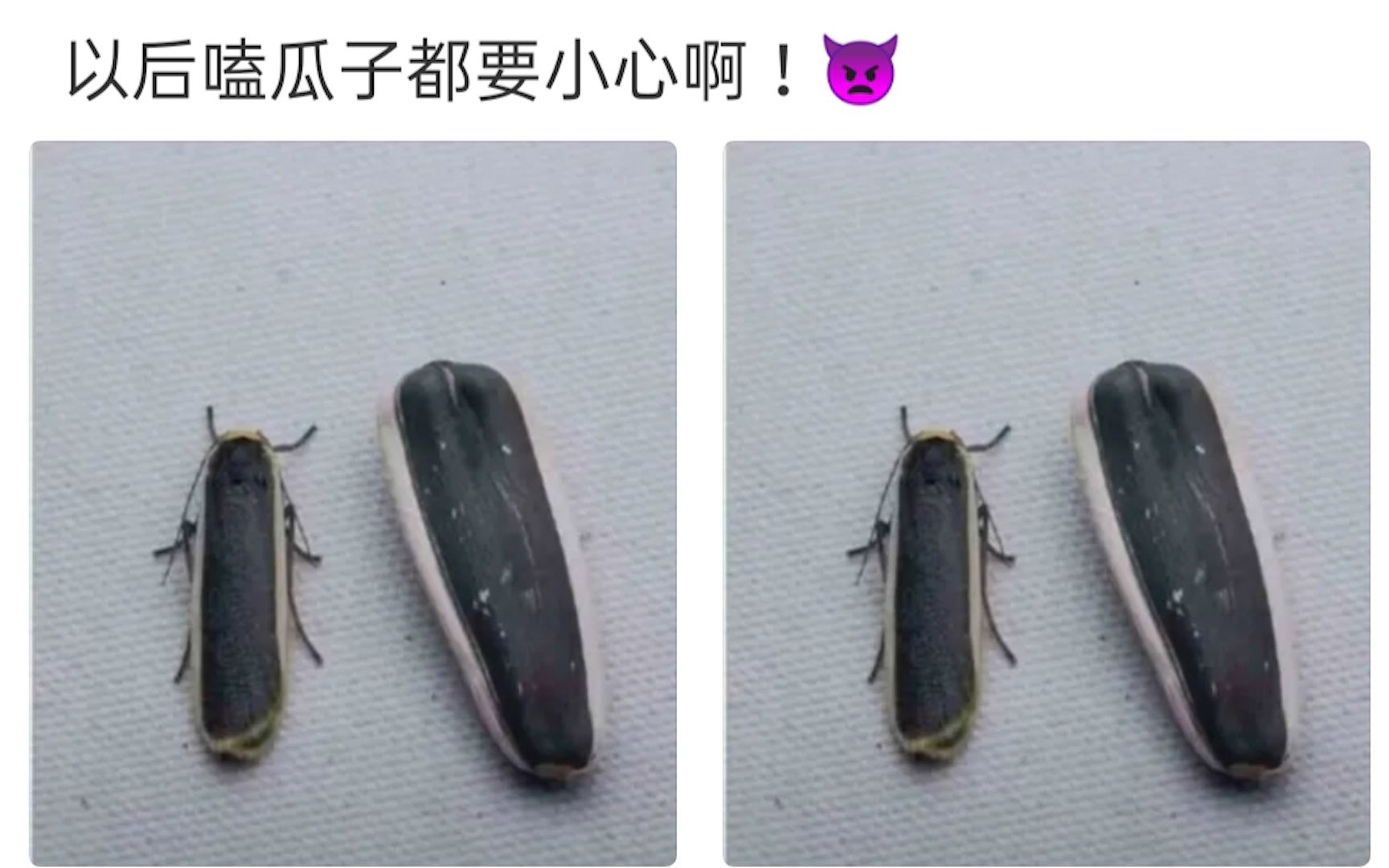 [图]【沙雕神评】以后嗑瓜子都要小心啊！