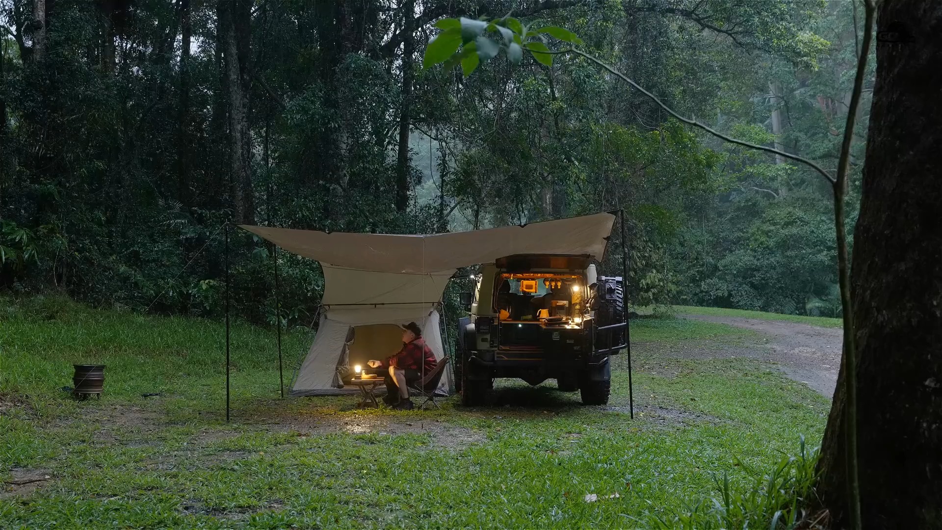 澳洲小哥在热带雨林中 solocamping