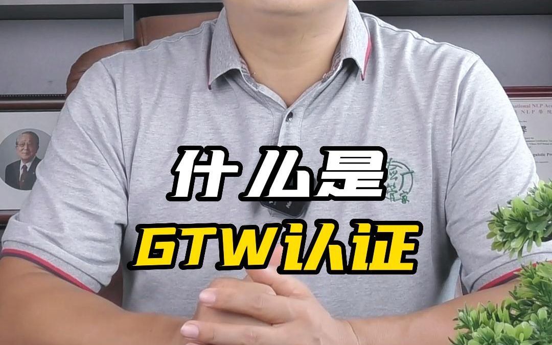 什么是GTW认证?哔哩哔哩bilibili