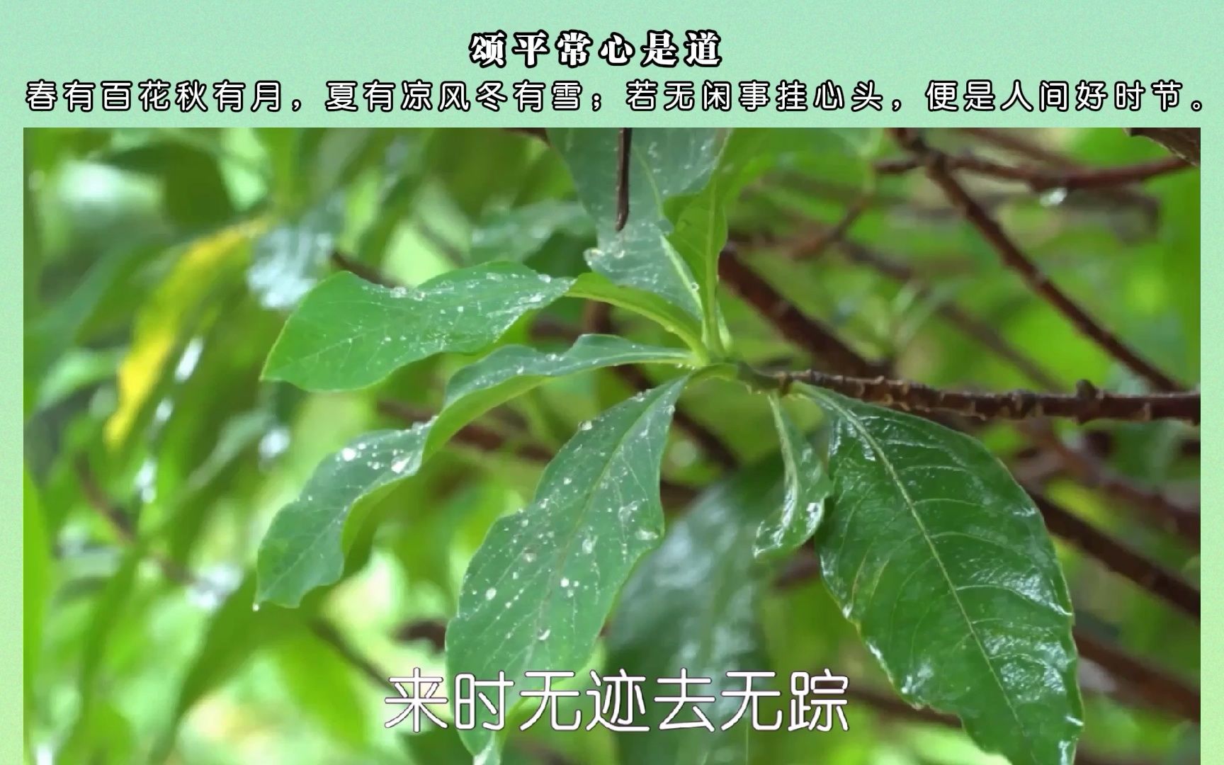 [图]静听禅韵《春有百花秋有月》