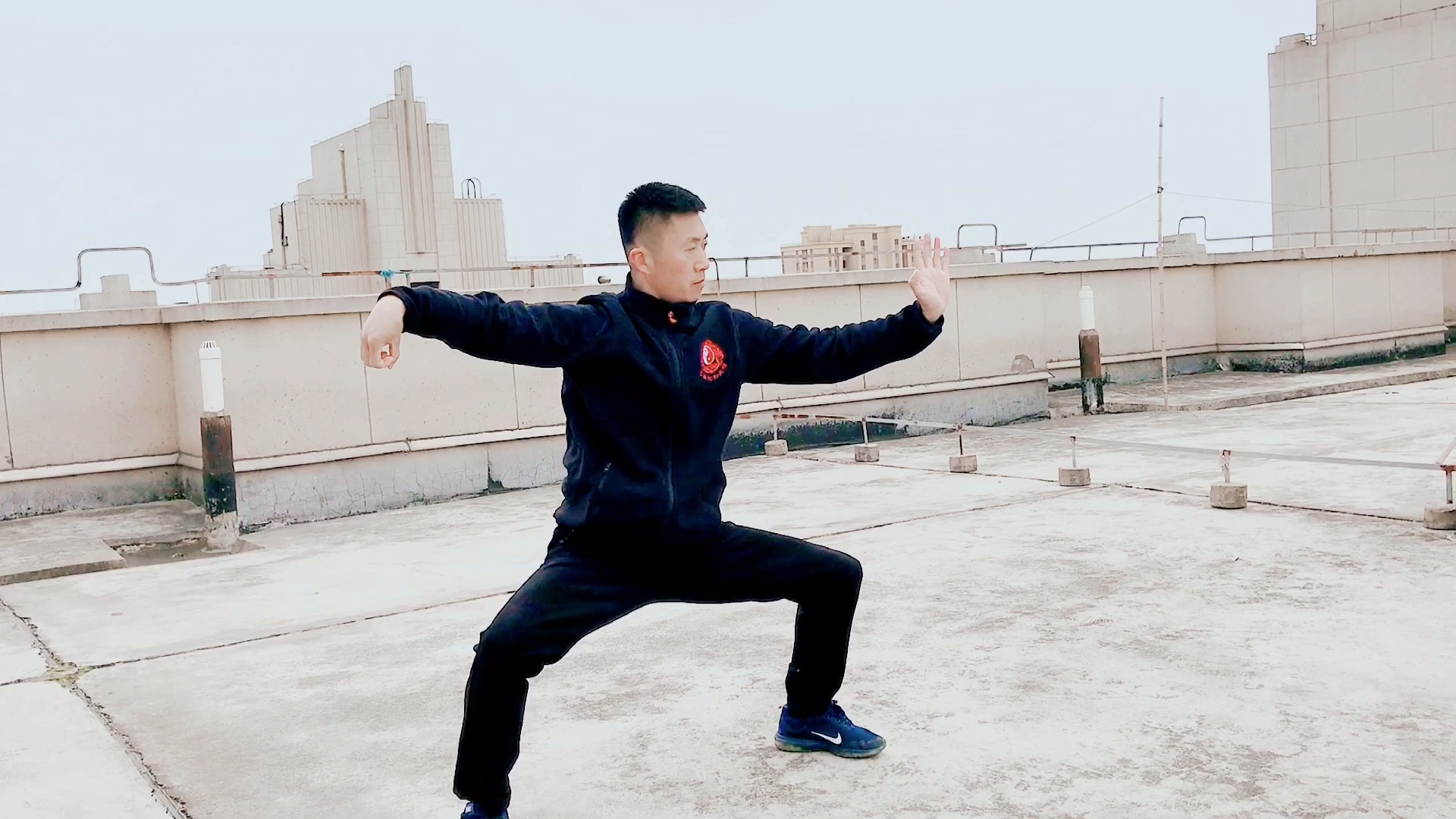 活动作品问鼎苍穹谁与争锋华人拳心龙身蛇形太极拳