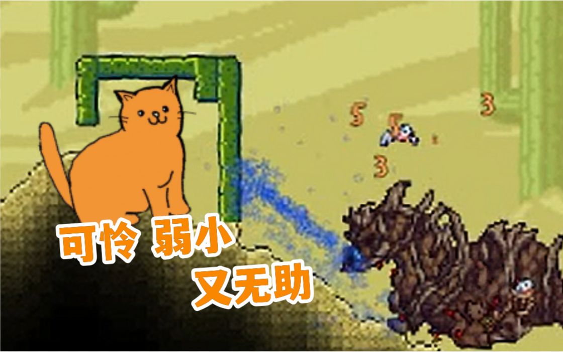 茶猫|史 上 最 怂 召 唤 猫 !泰拉瑞亚游戏实况