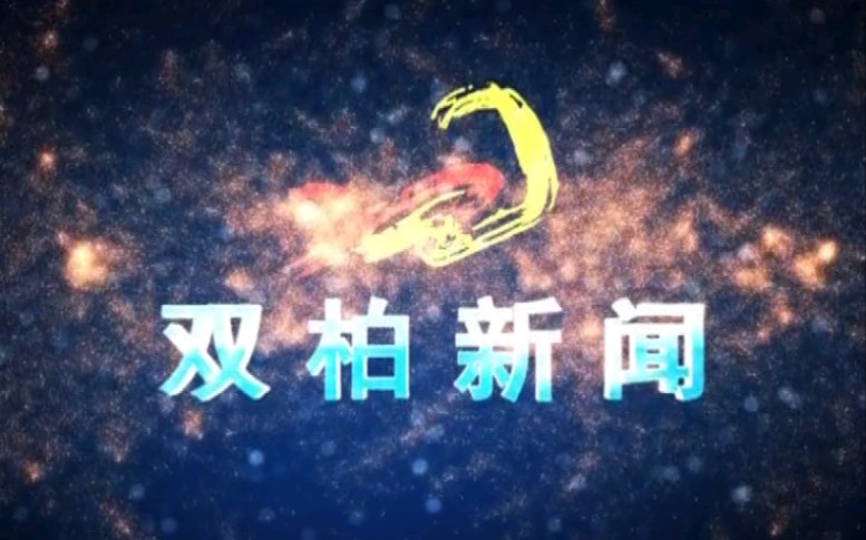 【放送文化】云南楚雄州双柏县融媒体中心《双柏新闻》OP/ED(20210616)哔哩哔哩bilibili