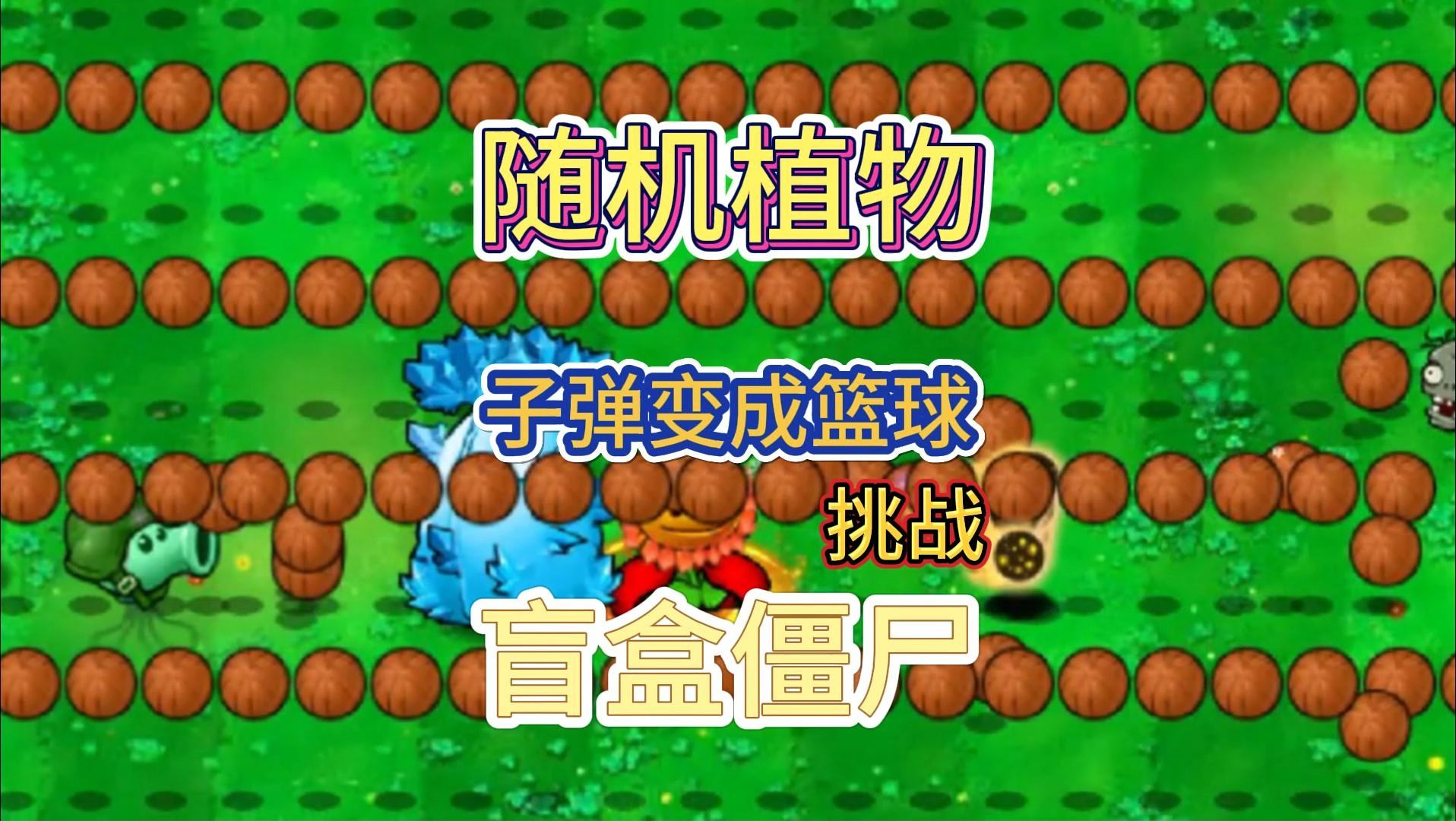 随机植物子弹变成篮球挑战十只盲盒僵尸 植物大战僵尸杂交版
