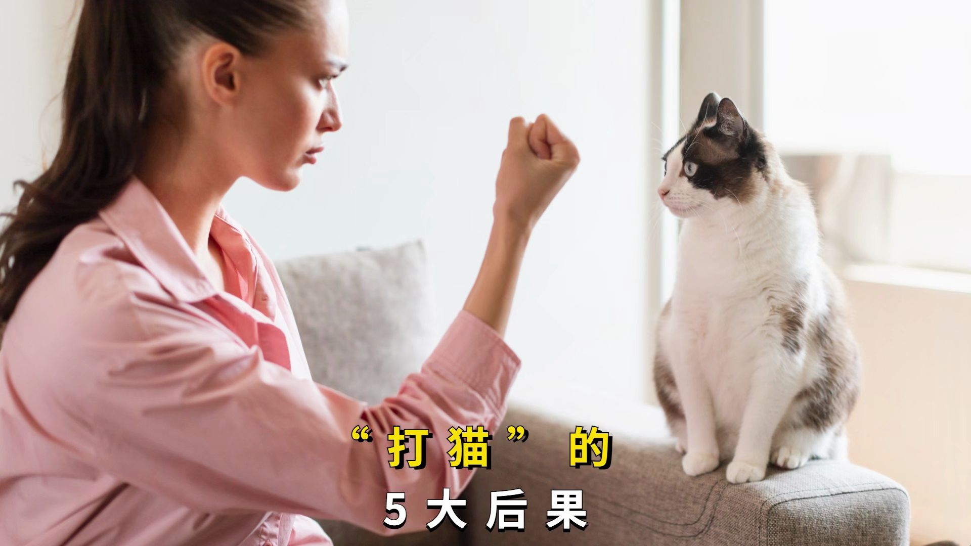 经常"打猫",会有这5大后果,赶紧住手!