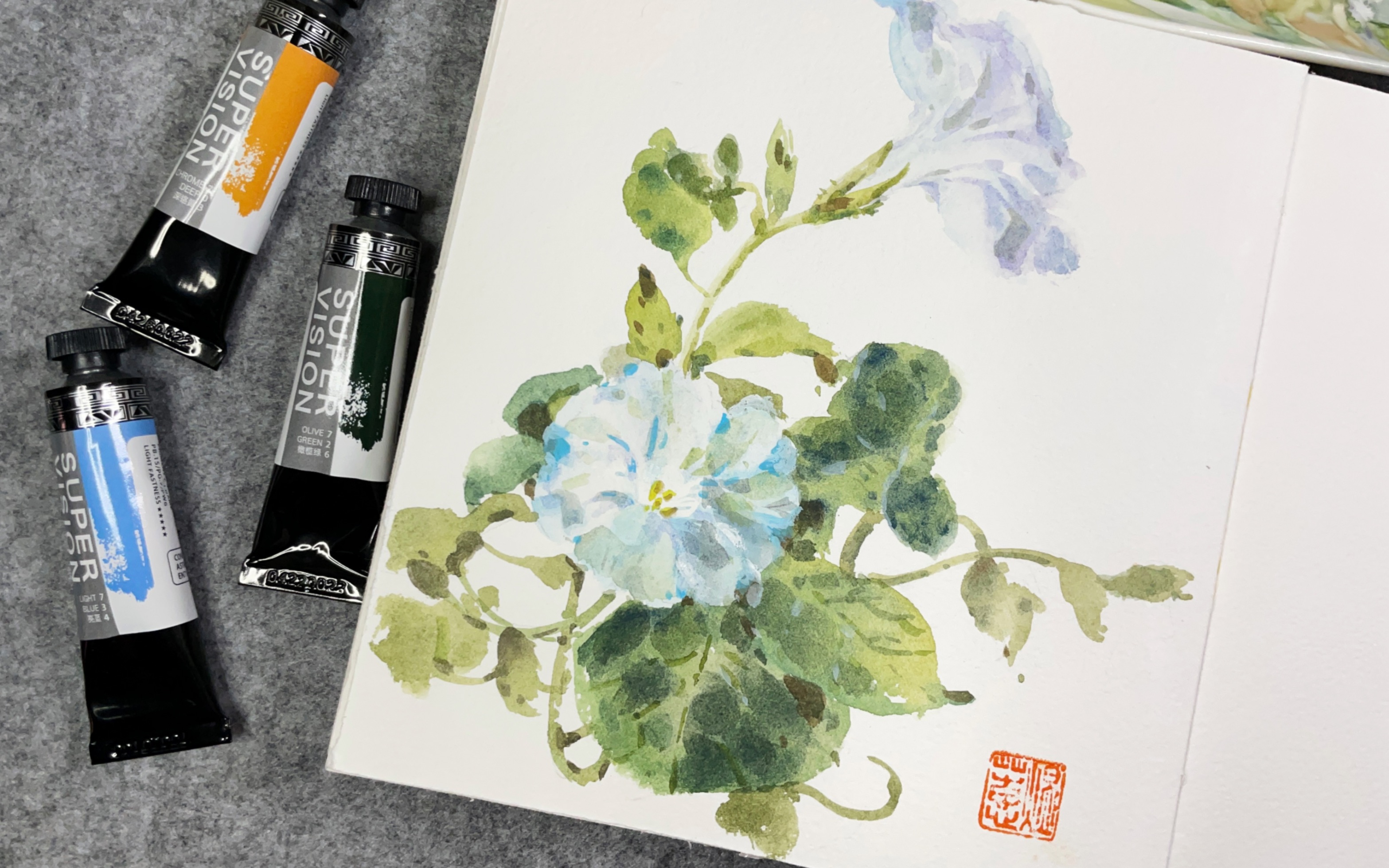 水彩花卉牵牛花朝颜视爵不透明水彩初尝试