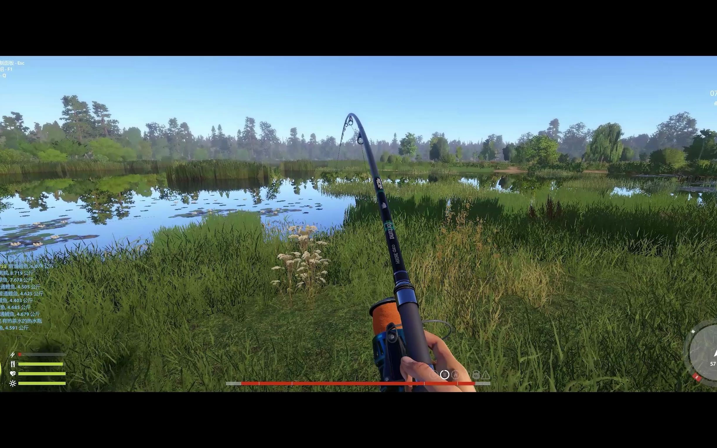 俄罗斯钓鱼4蓝轮与蓝冠普鲤