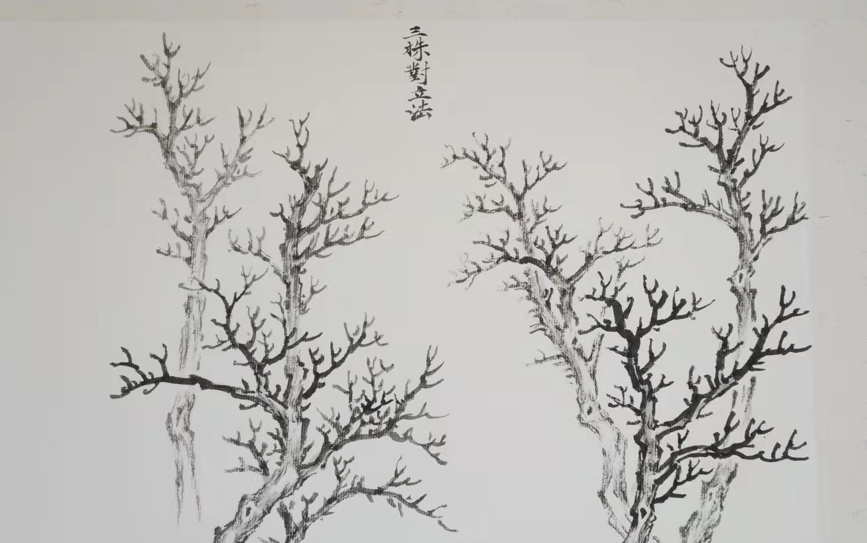 [图]芥子园画传——树法【三株对立法】国画山水临摹示范