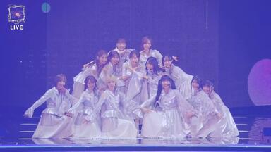 ハ*ダ様 森田ひかる ドームスタンド直筆サイン入り 5TH TOUR 2025 櫻坂 櫻坂46 5th ツアー ドーム サクコレ 参加賞 ステッカー