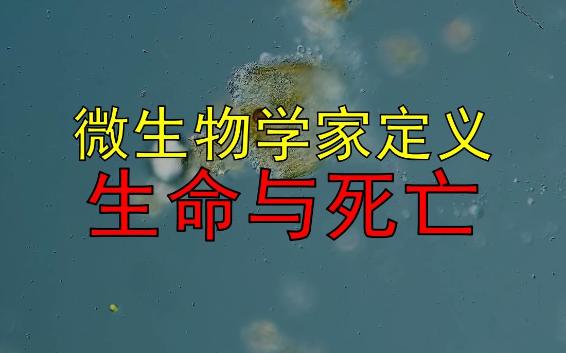 [图]【中英双字】生命与死亡的定义 微生物学家的哲学思考 by Journey to the Microcosmos