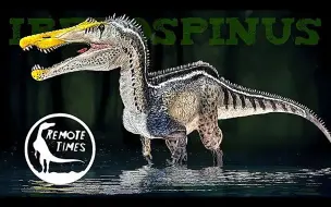 Скачать видео: 2023 年远程时间数据 Iberospinus 回顾！！！