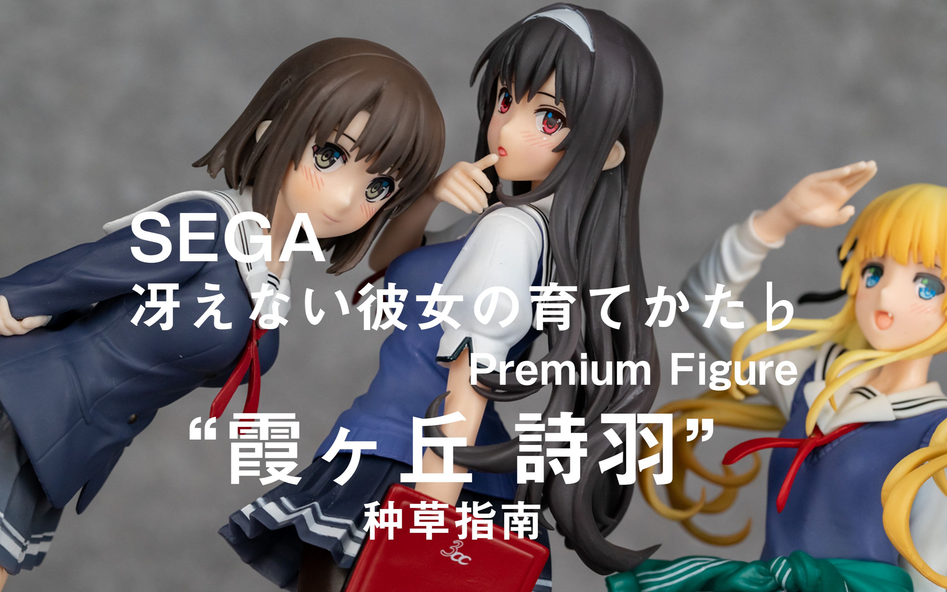 【種草指南】sega 路人女主的養成方法71 premium figure 