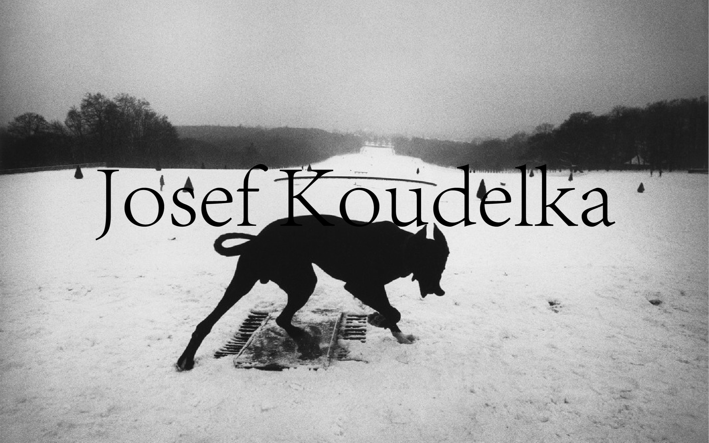 【一个没有国籍的摄影师】捷克摄影师:约瑟夫ⷮŠ寇德卡(Josef Koudelka, 1938)哔哩哔哩bilibili