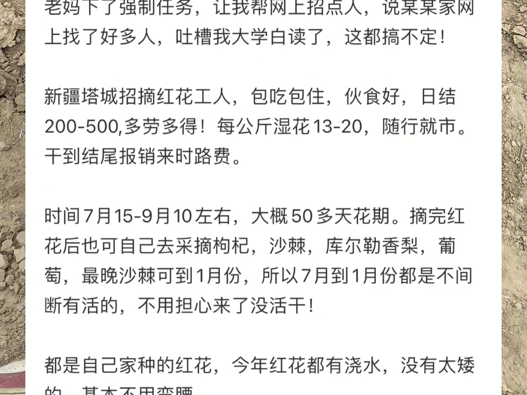 火车硬座60小时到新疆为了高薪工作500一天 (包吃包住)还可以报销车费哔哩哔哩bilibili