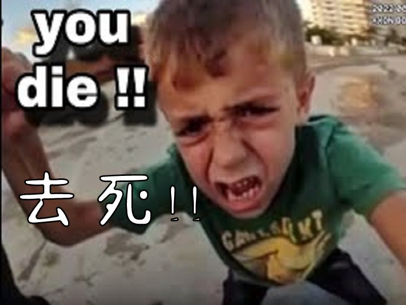 [图]【转载】小孩哥VS警察