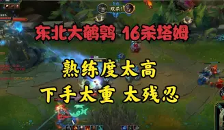 Download Video: 大鹌鹑：16杀塔姆！下手太重了！直接打投降？熟练度太高太残忍！