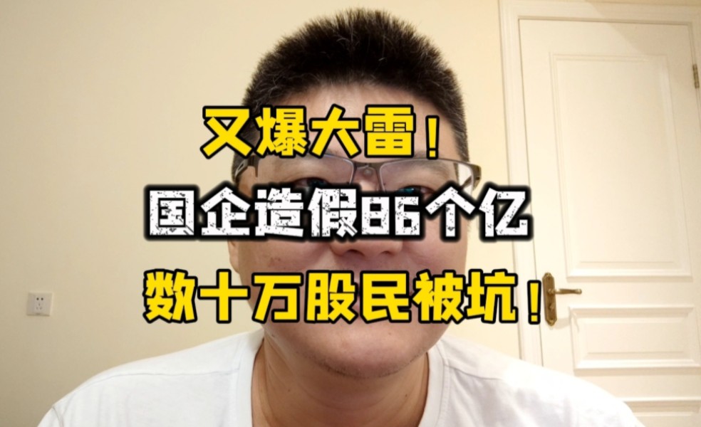 又爆大雷!国企造假86亿,一周连退6家公司,数十万股民被埋!哔哩哔哩bilibili