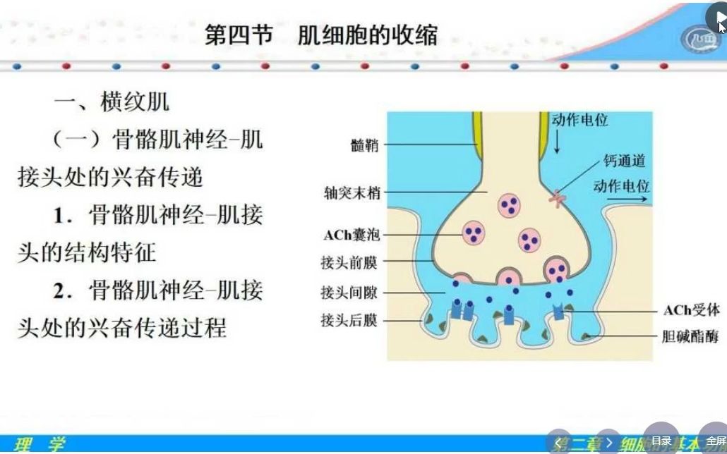 [图]细胞的基本功能（完结）